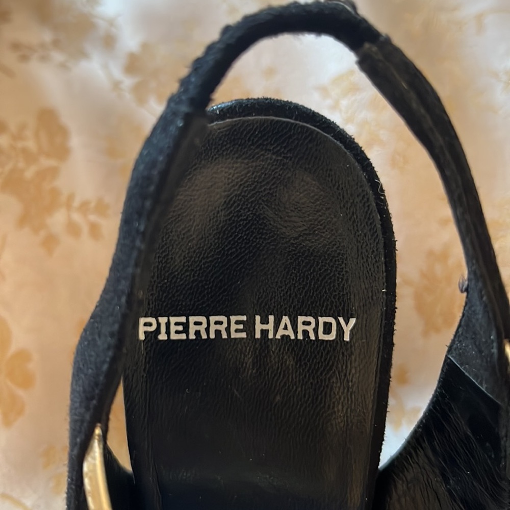 Pierre Hardy - Picture 4 of 6